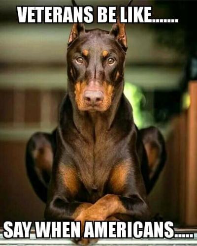 96d4186b24a073d2c89d6c489b9b9520_1024(1)