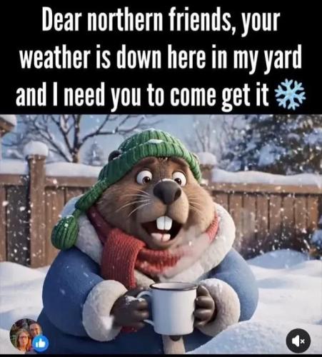 1769996595446662157170247062104_162096014111027