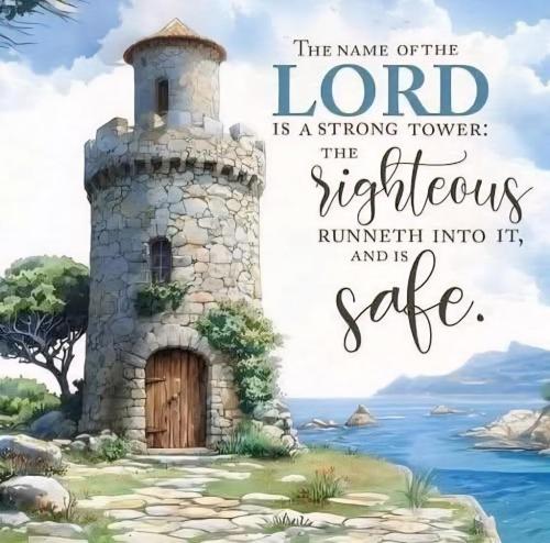 b6bfe526-cd15-4ba8-ba32-6f74cb9b21f8