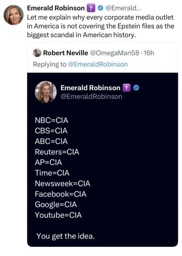 Epstein Files Media 1