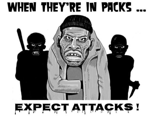 IMG_20260217_172510_194