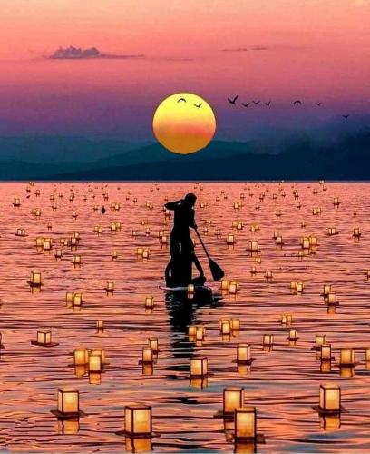 .      313104779_11556574386