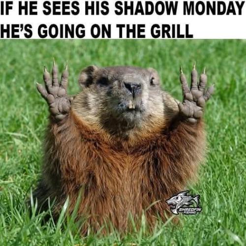 FB_IMG_1770001217582