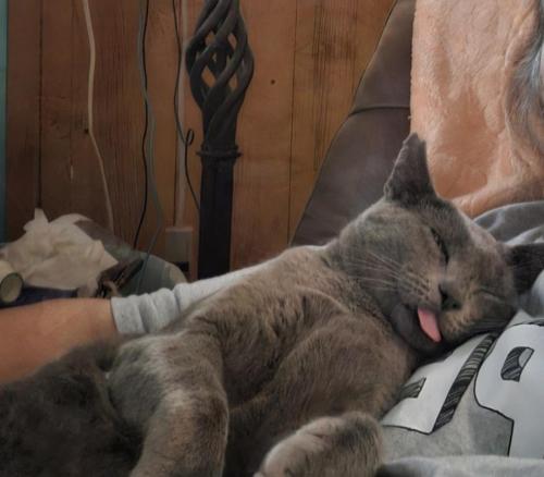 f537595d-5f59-49fa-95d0-a10ec4853921