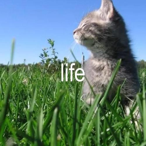 17721923031914046897995922499134_1291014913148138