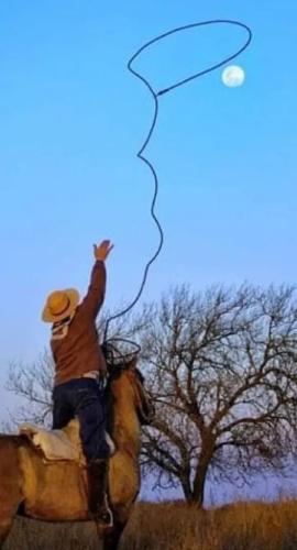 17699968287228487344033949216139_162323010829222