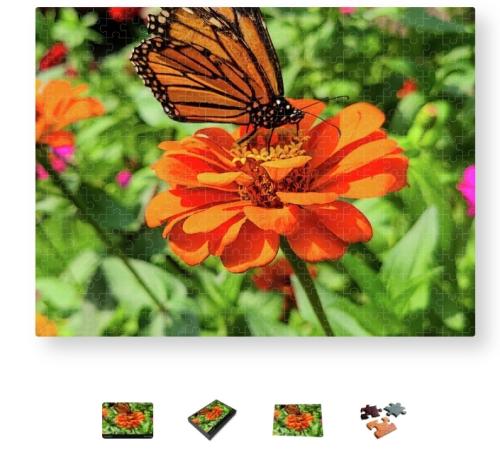 Screenshot_20260216_184223_Brave