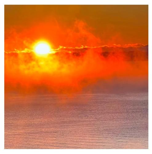 15585925-b2c4-4a5a-a7c7-02985cbbce02