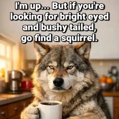 17703752730704201784675961792066_194111606204856