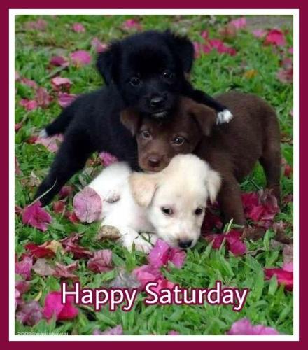 ff86a1ea8fbf7a17b4de7875c25b8f22