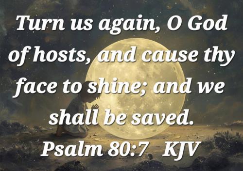 98b58d44-7f9a-4eee-bd72-767c27a28696