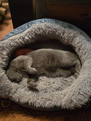 217d6458-ad02-497b-9f57-c59724886c2a