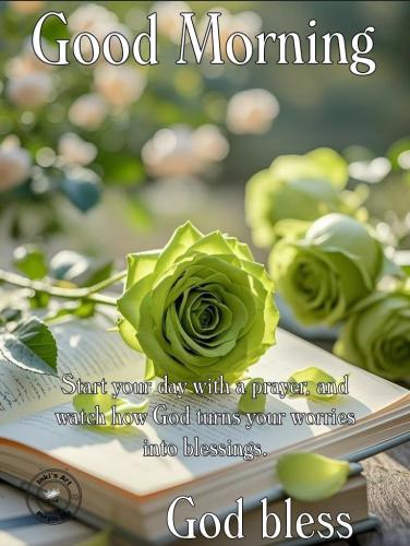 631062003_903277702072273_1200153094446146753_n