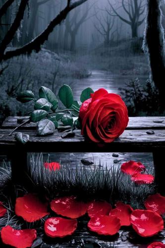 568696212_4085796438338356_8102463086991911484_n