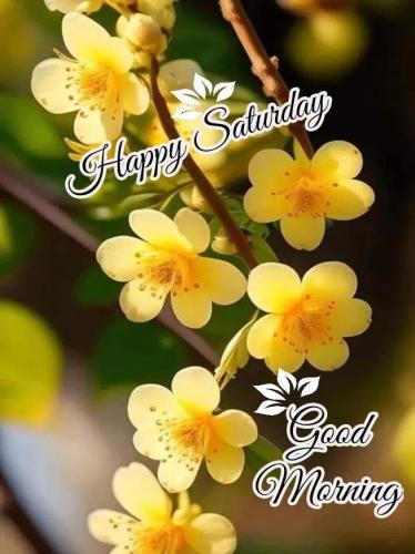 62782285b25cc1c4395fbf3d209d4acc