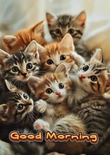 8b7358a38f6ef813e6af6ef75d28ffe0