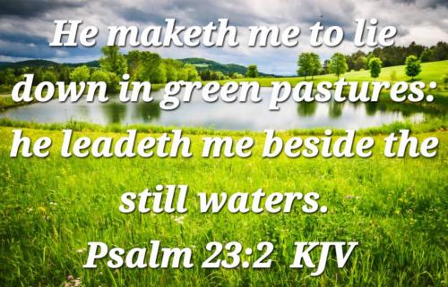 87a9de27-01d3-46de-8150-5c6a317bafc9