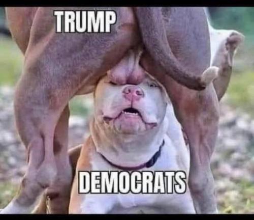 641545223_1459845805928334_7833134792296560112_n