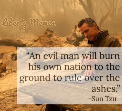 17718440213492268798690716184753_1073045697296234