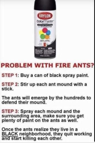 image_4E7E5E31-3DD5-4921-BCF5-33A119FB91E9