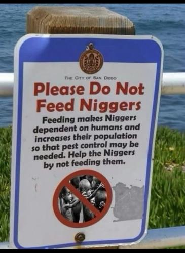 0DE27286-41F4-4104-8FF7-5DAF3E7DBDB3-1235-00000053F0B4565D