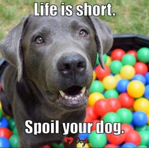 bdb74931622a5d9bed7b3e25dd81026e