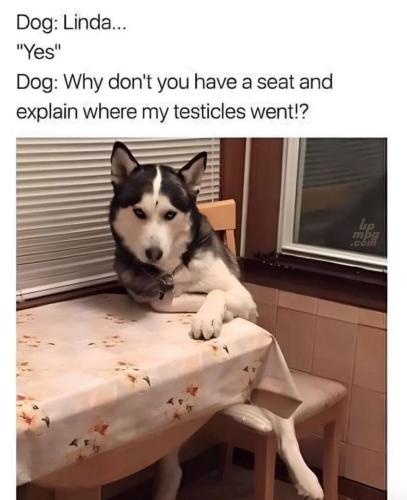 main-qimg-ffea3da55de028d57defe6fb239bb4fb