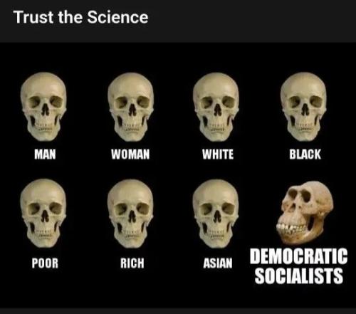 TESTHUB_photos_users_KPBY8Tc46ldqLjWXf6bqxqOW3AR2_-OkP5LndO9b0OEV9Mklp_img_rsz__1100x1100