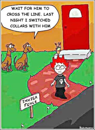 image_E7DF5BF1-0F3E-4F64-BBBD-19DCF630A20D