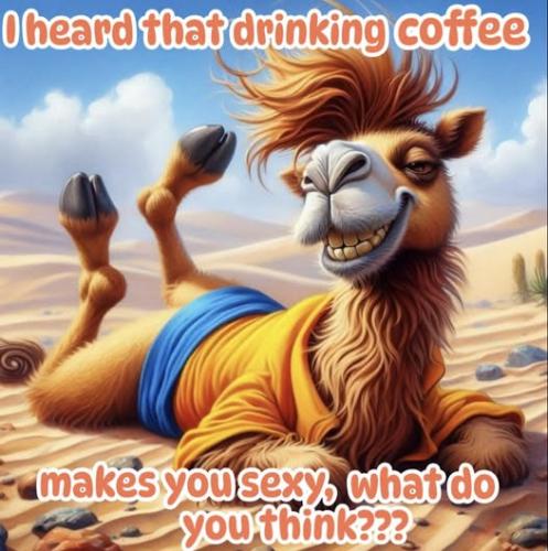 628067950_1982495482667415_6336843620471267804_n