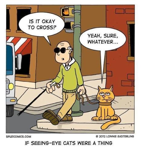 959c77e22bb6e2c74d88327934549138