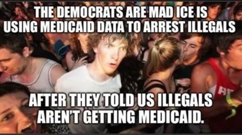 illegal medicaid 8
