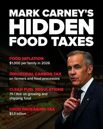 FB_IMG_1770258725841