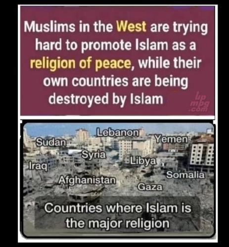 main-qimg-0be0f46b632b01f65c9d78bc7fccb42e