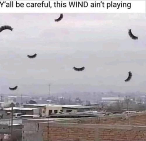 Screenshot_20260223_063314_Gallery