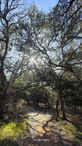 Peaceful hikes along the trails