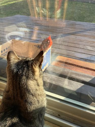 9753E2FD-6959-4591-B8A8-9E3AC5E3AC91