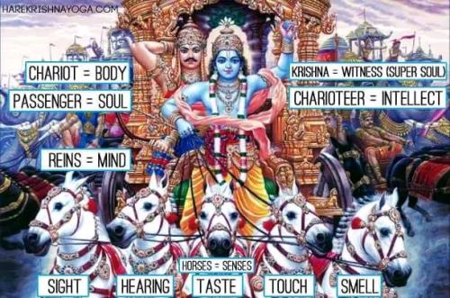 ,   418468121_2428009 (1)