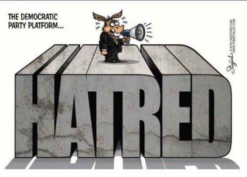 IMG_20260213_043404_363