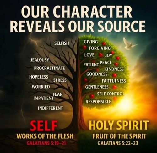 7c61ec7b858b14131d51859e5fd30004