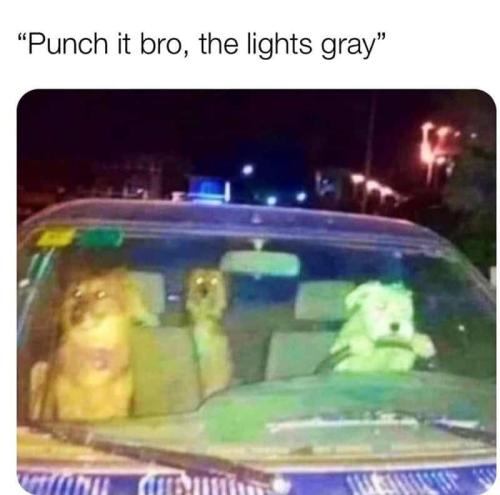 funny-driving-memes33