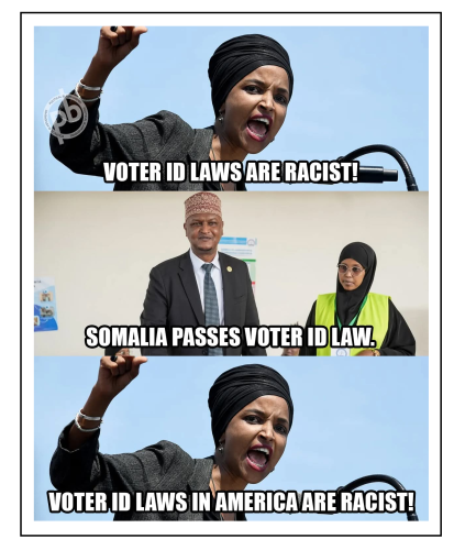 voter id