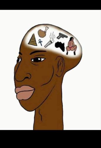 IMG_20260203_141754_093