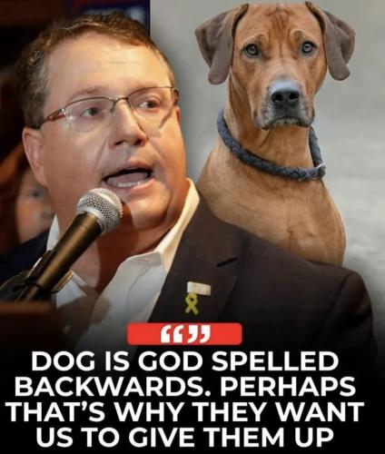 f88e8e18-37e0-4db2-b0da-bbda63c8e216