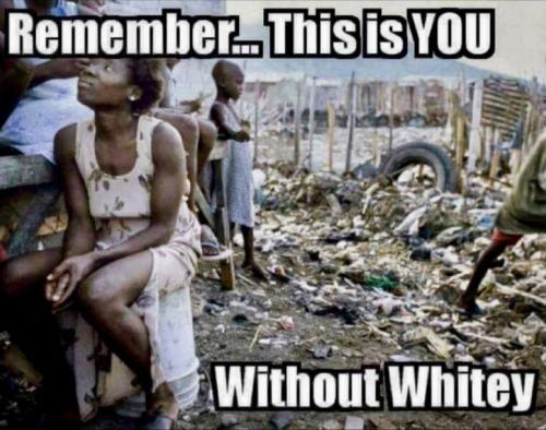 IMG_20260213_144802_799