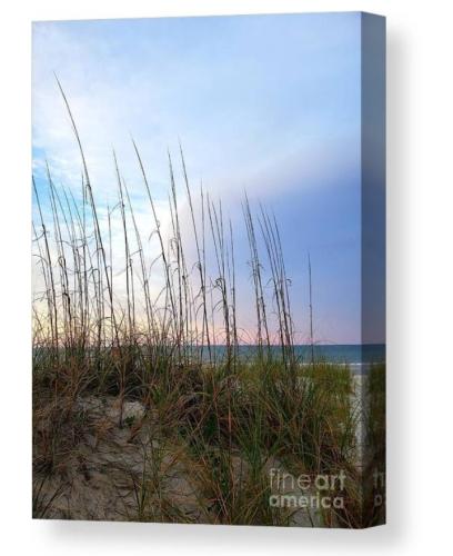 Screenshot_20260219_184124_Brave