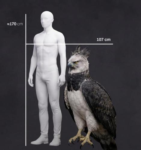 629152293_874962925444464_6860043295642560662_n