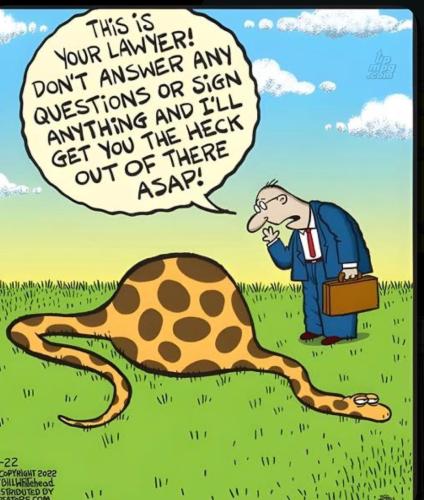 main-qimg-88019578ec847b832a4ce2efa92d1e38