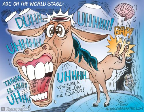 AOC-on-world-stage-Tina-toon