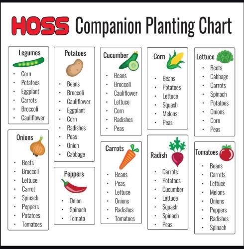 FB_IMG_1770145102453